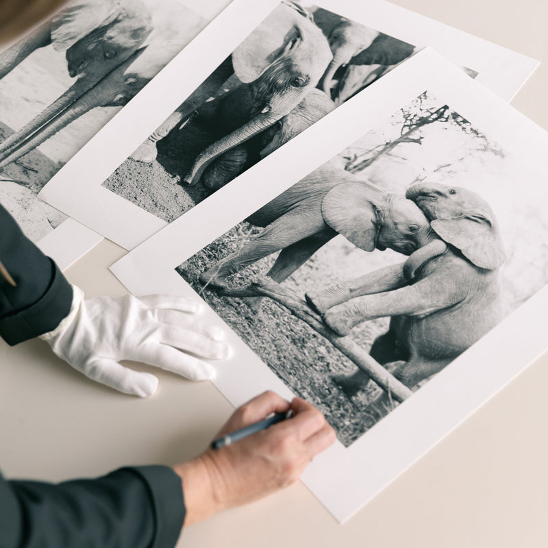 KT Merry signing her photographic prints