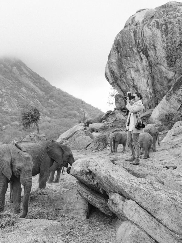 A Visit to Ithumba: Returning Orphaned Elephants to the Wild