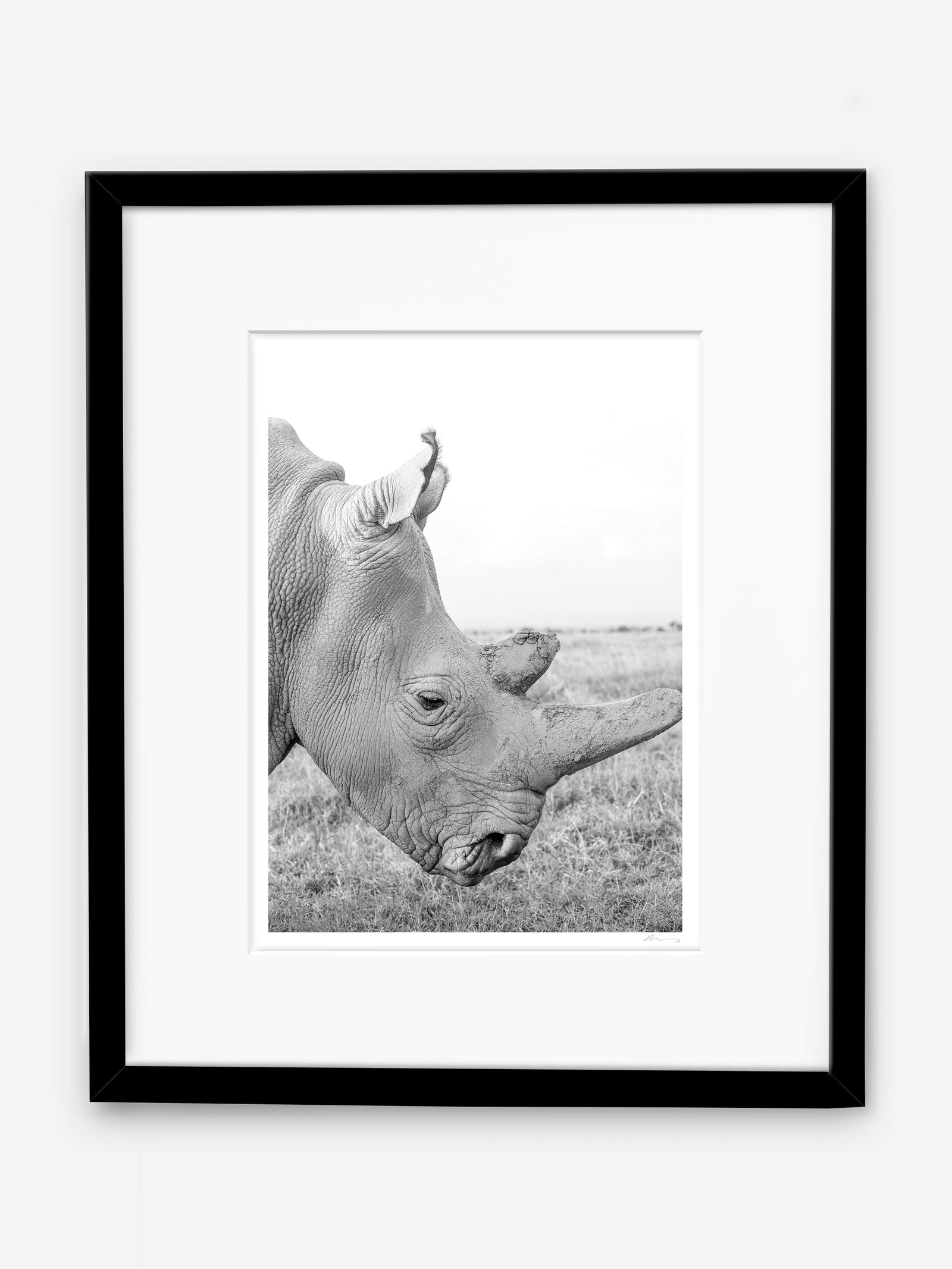 ★PSY/GOA★ V.A / White Rhino 2LP Grayscape – Render Loyalty