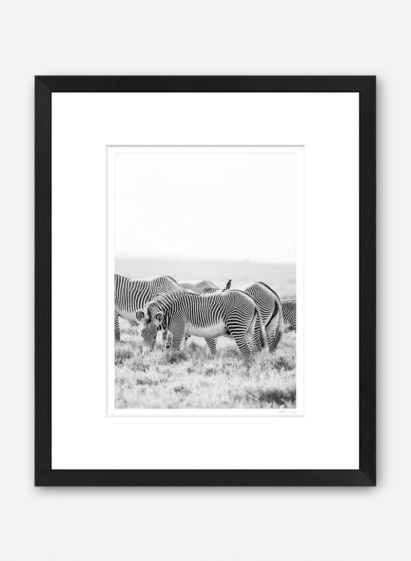 Grevy s Friend Render Loyalty Grevy s friend render loyalty
