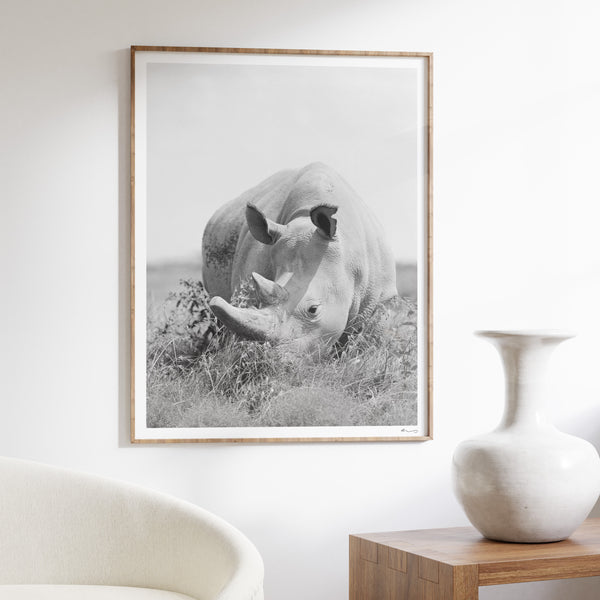 Framed "Nature's Shadow" print on white wall, modern luxury decor