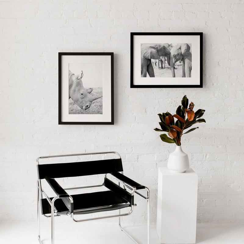 Render Loyalty framed prints hanging on wall in a beautiful setting.