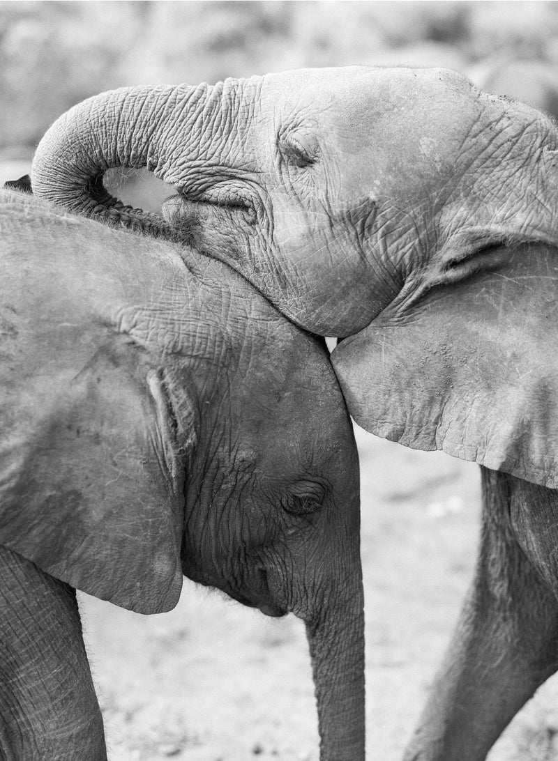 Brotherly Love Render Loyalty Brotherly love render loyalty